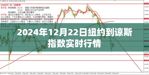 纽约到谅斯指数实时行情(最新动态)