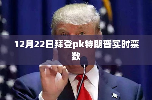 拜登与特朗普对决实时票数揭晓