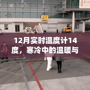寒冷中的生机,实时温度计记录下的温暖冬日
