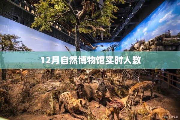 自然博物馆12月实时参观人数统计