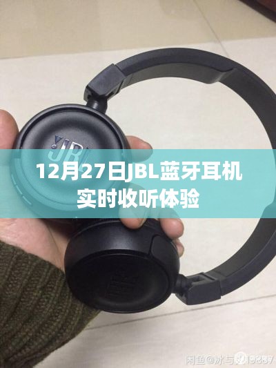 望其项背 第4页