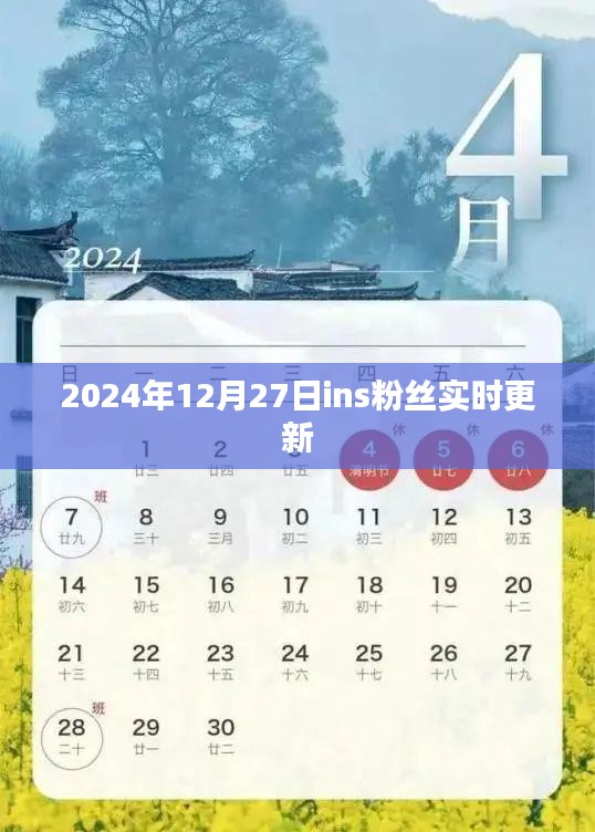 2024年12月27日Ins粉丝实时更新数据