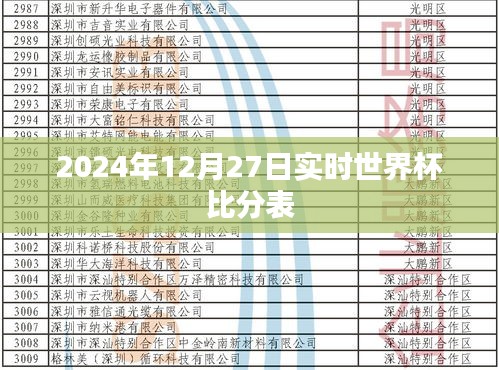 世界杯比分表实时更新,2024年决赛圈动态尽在掌握