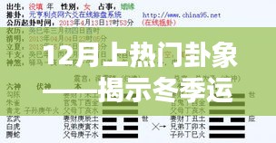 冬季运势揭秘,热门卦象预测机遇与挑战