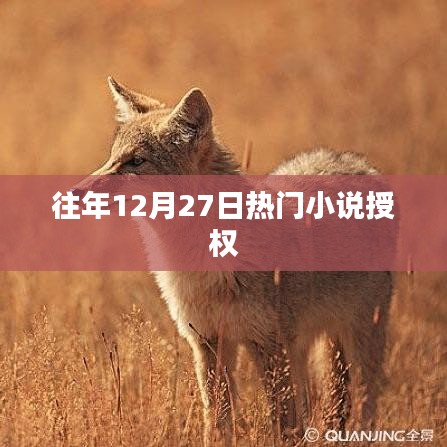 往年12月27日热门小说授权盘点
