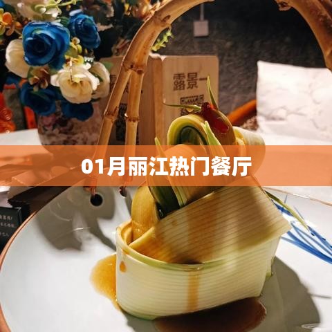 飞燕化龙 第3页