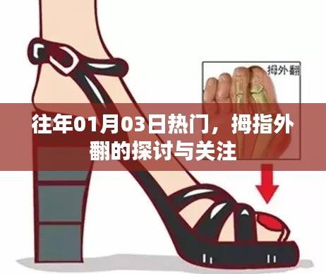 网站案例 第249页