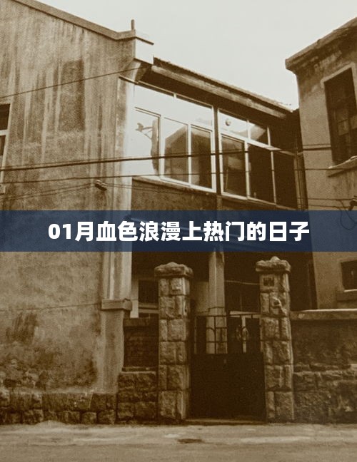 01月血色浪漫热播日回顾