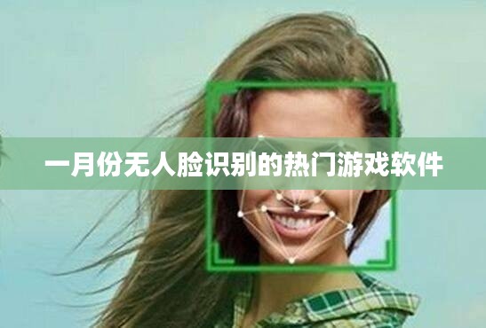 一月份超火游戏软件,无人脸识别畅享游戏乐趣