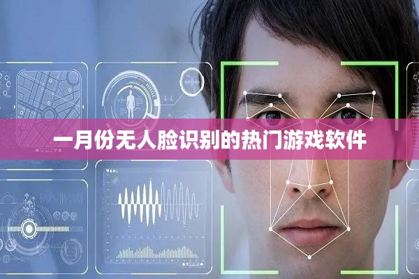 一月份超火游戏软件,无人脸识别畅享游戏乐趣