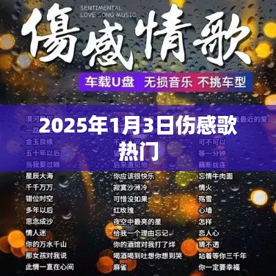 『2025年伤感歌曲TOP榜单,感动心灵之歌』