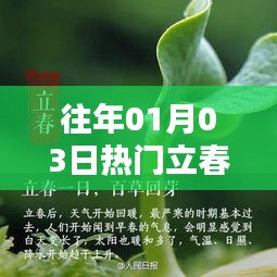 立春迎新春,热门文案分享
