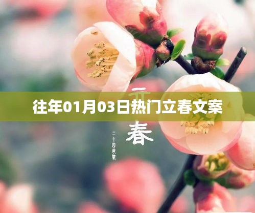 立春迎新春,热门文案分享