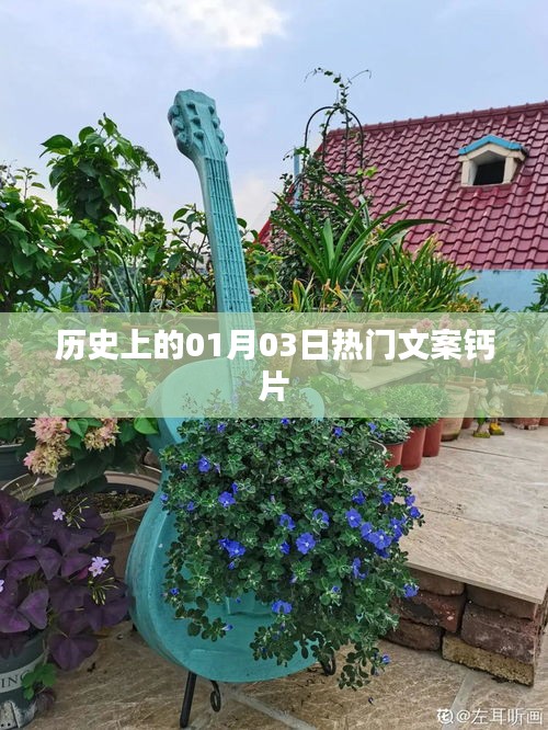 历史上的大事件,一月三日热门文案钙片回顾