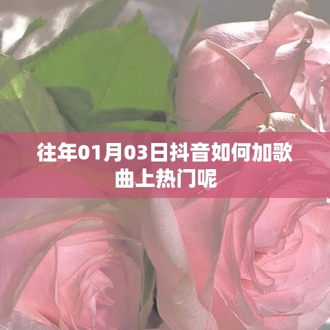 抖音歌曲上热门策略,添加与推荐技巧