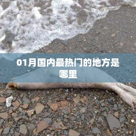 一月国内热门旅游地推荐