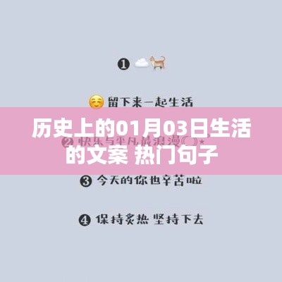 关于我们 第203页