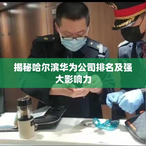 揭秘哈尔滨华为公司排名及强大影响力