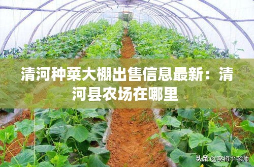 清河种菜大棚出售信息最新:清河县农场在哪里