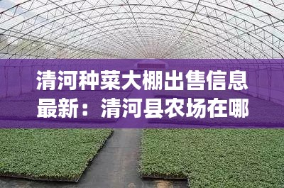 清河种菜大棚出售信息最新:清河县农场在哪里