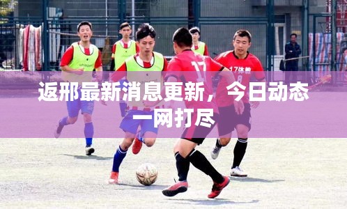 资料下载 第211页