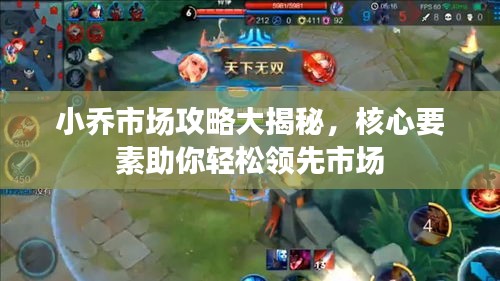 小乔市场攻略大揭秘,核心要素助你轻松领先市场