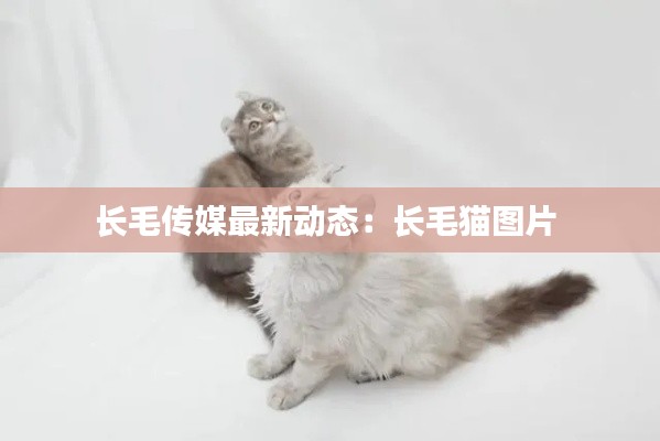 接连不断 第3页
