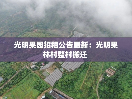 光明果园招租公告最新:光明果林村整村搬迁