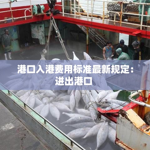 港口入港费用标准最新规定:进出港口