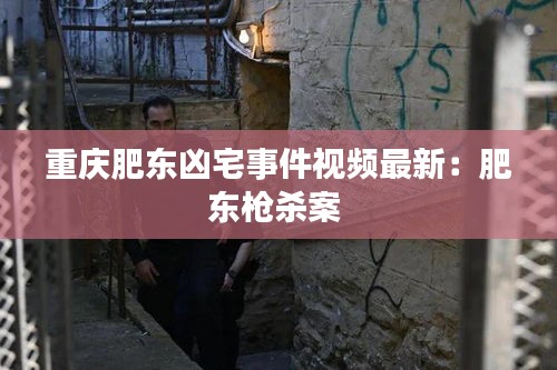 重庆肥东凶宅事件视频最新:肥东枪杀案