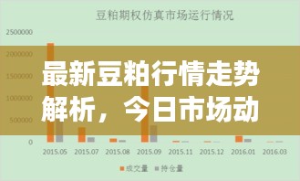 最新豆粕行情走势解析,今日市场动态一览