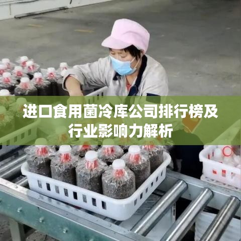 寒蝉僵鸟 第3页