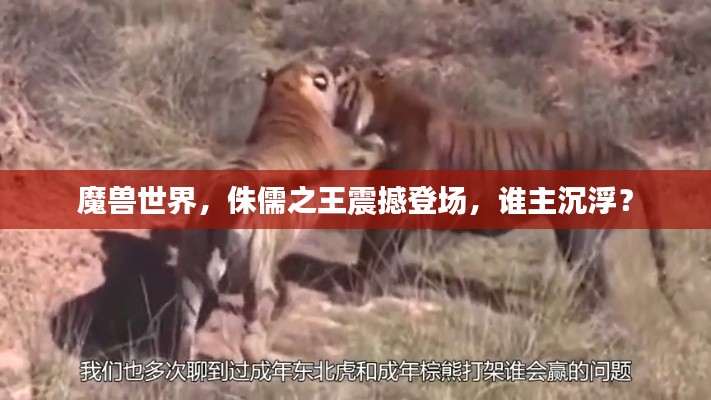 魔兽世界,侏儒之王震撼登场,谁主沉浮?