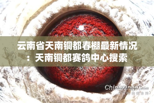 云南省天南铜都春棚最新情况:天南铜都赛鸽中心搜索