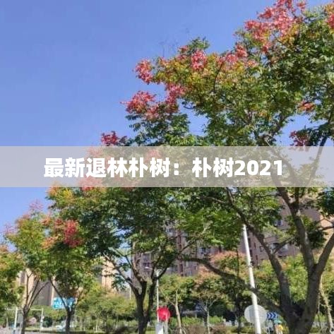 最新退林朴树:朴树2021
