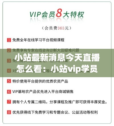 小站最新消息今天直播怎么看：小站vip学员登录平台 