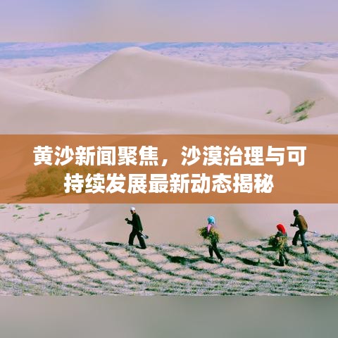 黄沙新闻聚焦,沙漠治理与可持续发展最新动态揭秘