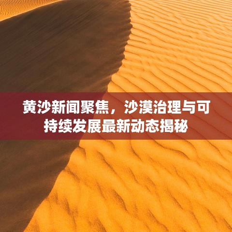 黄沙新闻聚焦,沙漠治理与可持续发展最新动态揭秘