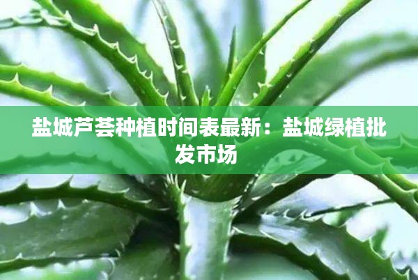 法不阿贵 第3页