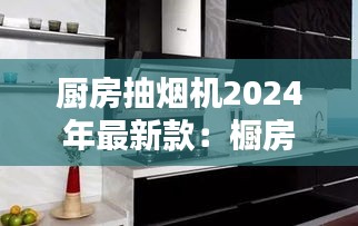 厨房抽烟机2024年最新款:橱房抽烟机