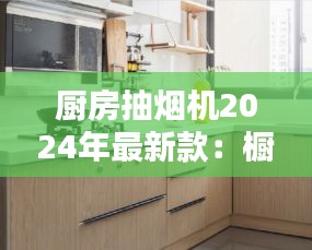 厨房抽烟机2024年最新款:橱房抽烟机