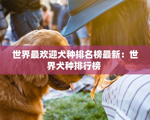 世界最欢迎犬种排名榜最新:世界犬种排行榜