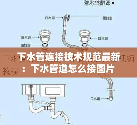 怀真抱素 第2页