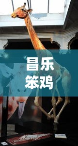 物是人非 第2页