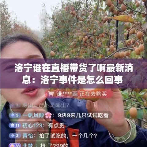 洛宁谁在直播带货了啊最新消息:洛宁事件是怎么回事