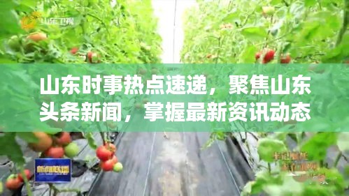 孜孜不倦 第2页