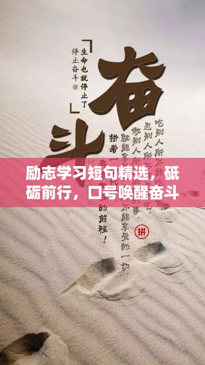 雅人清致 第2页