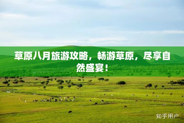草原八月旅游攻略,畅游草原,尽享自然盛宴!