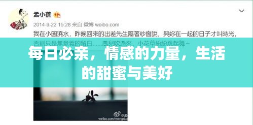 每日必亲,情感的力量,生活的甜蜜与美好