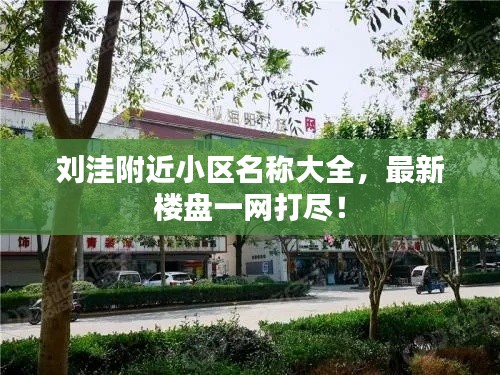 金石为开 第2页
